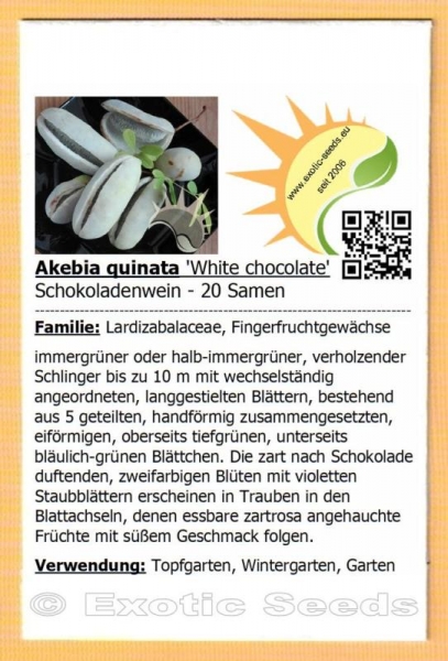 Akebia quinata 'White chocolate', 20-1.000 Samen